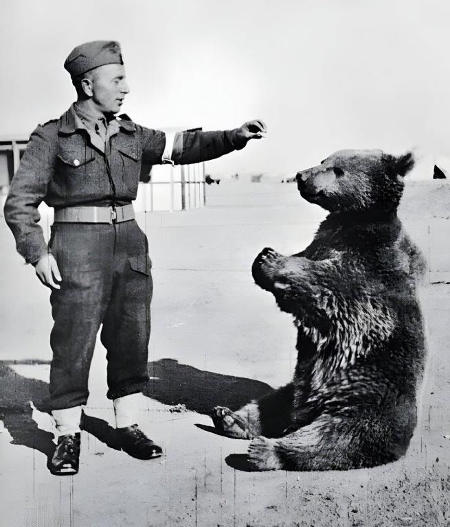 Wojtek the bear