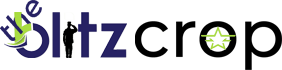 The Blitz Corp